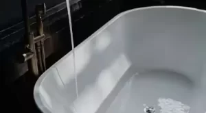 Mesin Cuci Tubuh Manusia Berbasis AI Buatan Jepang Terobosan Baru Dalam Perawatan Kesehatan