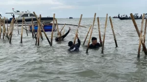 The Prime Show Malam Ini? Dhiandra Mugni Ungkap Kebenaran HGB Pagar Laut