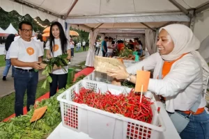 Hibank Luncurkan Aplikasi HI, Memudahkan UMKM dalam Digitalisasi Bisnis