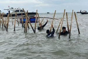 Bareskrim Temukan Bukti Pemalsuan Girik di SHGB dan SHM Pagar Laut Tangerang