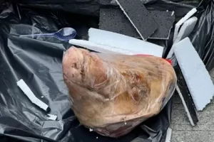 Dalang Teror Kepala Babi dan Bangkai Tikus Dibawa ke Meja Hijau di Kantor Tempo