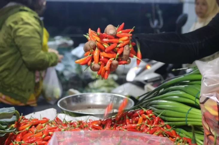 Peningkatan Harga Pangan Tetap Terjadi di Minggu 9 Maret 2025, Bawang, Cabai, dan Beras Masih Tak Kunjung Turun