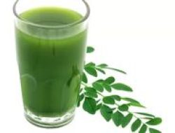 Manfaat Jus Hijau: Khasiat Daun Kelor dan Ubi Ungu untuk Energi Pagi