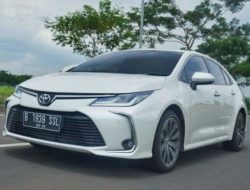 Harga Toyota Corolla Altis Hybrid 2019 Turun Hingga Setengah