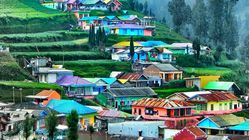 Tosari: Gerbang Bromo dengan Kampung Kelir, Jembatan Kaca, dan Budaya