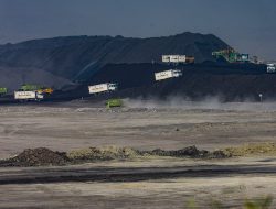 Harga Batu Bara Menggemparkan Industri, Wacana DMO Memicu Kekhawatiran