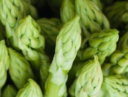 8 Manfaat Asparagus untuk Ibu Hamil, Baik untuk Pencernaan