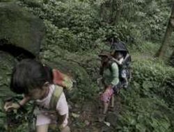 7 Jalur Mendaki Ringan di Bogor Jawa Barat untuk Pemula dan Anak-anak