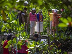Bupati Tapsel Ungkap Izin Penebangan Hutan dari Kemenhut, Kader PSI Minta Raja Juli Dianggap Tidak Bersalah