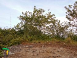 Mendaki Gunung Budeg: Perjalanan Singkat, Matahari Terbit Mengagumkan, dan Legenda Ibu