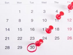 Jadwal Libur Sekolah Desember 2025: Lengkap Per Provinsi, Hari Merah, dan Cuti Bersama