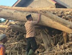 Selidiki Asal Kayu Gelondongan di Lokasi Bencana Sumatera, Polri Diingatkan Bahaya Kejahatan Lingkungan Terorganisir