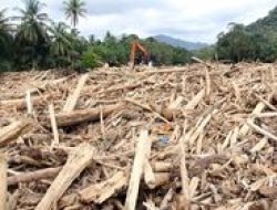 KLH Tegakkan Aturan Tambang untuk Cegah Banjir dan Kelola Air