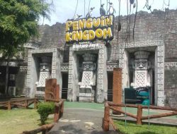 Menikmati Edukasi di Samudra Ancol, Kebahagiaan Keluarga