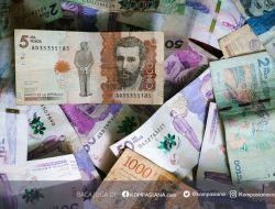 Ekonomi Sulit dan Bencana Alam: Sudah Cukup Menyadarkan Kita?