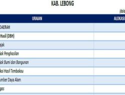 Lebong Terima Dana Transfer Daerah 2025 Rp500 M Per Bulan, DAU Tertinggi