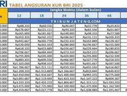 Cicilan KUR BRI 2025: Pinjaman Rp1 Juta hingga Rp200 Juta, Syarat & Cara Ajukan