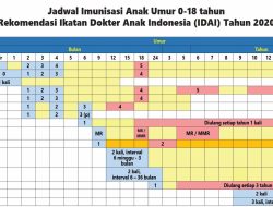 Jadwal Persib Bandung vs Bangkok United di AFC Champions League 2025 Malam Ini