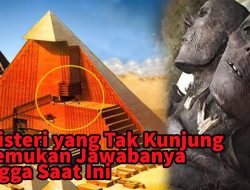 Misteri Pembakaran Warung dan Kendaraan di Kalibata, Polisi Angkat Bicara