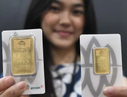 Refleksi Akhir Tahun 2025: Kondisi Ciremai, Naik atau Turun?