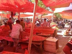 Harga Pangan Pasar Andalas Kota Gorontalo Hari Ini 24 Januari 2025