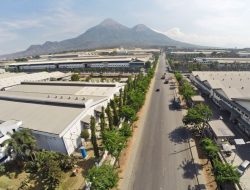 Harga Lahan Industri Melonjak, Apa Penyebabnya?