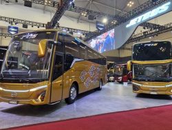 Bus AKAP Medan–Banda Aceh: 5 Operator Terpercaya untuk Perjalanan Keluarga