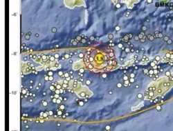 Gempa Guncang NTT, Terjadi Pagi Ini 19 Januari 2026