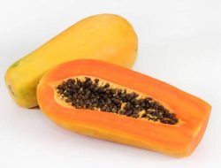 10 Buah Kaya Vitamin E untuk Anak