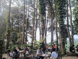 13 kafe alam dekat Bogor, suasana sejuk dan nyaman