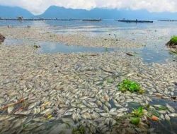 Kematian Massal Ikan di Jatiluhur Purwakarta: Upwelling dan Kekurangan Oksigen