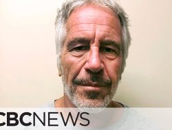 Orang Indonesia Melamar Kerja ke Jeffrey Epstein, Komunikasi Email 2013-2017