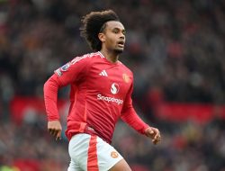 Transfer Liga Inggris: Masa Depan Joshua Zirkzee Terungkap, Juventus dan Roma Tertarik