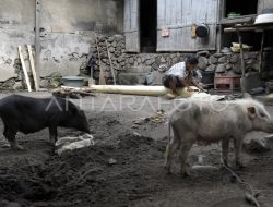 Warga NTT Minta Melki-Johni Tuntaskan Masalah Infrastruktur, Kemiskinan, dan Pendidikan