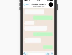 Cara ganti nada dering WhatsApp dengan suara Google, lagu, atau rekaman pribadi