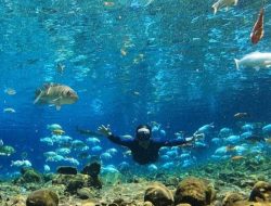 Rekomendasi wisata Klaten libur Lebaran 2026: Umbul Kapilaler hingga Rowo Jombor