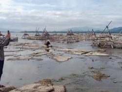 6 Fakta Danau Kerinci Berkurang 70 Hektare, Ancaman di Wilayah Barat Jambi