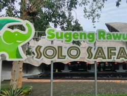 Agenda Solo Malam Ini: Solo di Waktu Malam Jadi Pilihan Seru Sabtu Nite