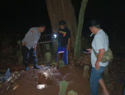 Kisah Warga Bojonegoro yang Menemukan Aksi Pembongkaran Makam: Diduga Ilmu Hitam, Tapi Zaman Sudah Modern