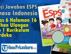 Latihan Ulangan BAB 6 ESPS Bahasa Indonesia Kelas 5 Halaman 104-106 dan Kunci Jawaban