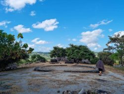 Wisata NTT: Pesona Kampung Adat Namata di Sabui Raijua, Seperti Berada di Planet Lain