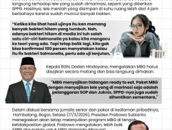 Drama Ikan Lele Mentah MBG