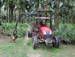 Pendapatan dan Laba DSNG Melonjak Dua Digit di Tahun 2025