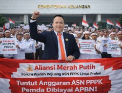 ASN PPPK Minta Anggaran Melalui APBN, Fadlun AMP: Jangan Setengah Hati