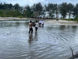 Pantai Lalang Rusak, Pohon Mangrove dan Cemara Mulai Tumbang