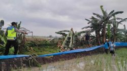 Istirahat di Tengah Sawah, Siti Aminah Tewas Saat Hujan Badai