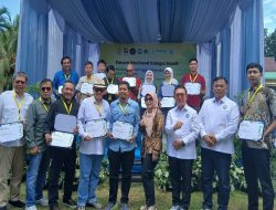 Dirjenbun: Kupu-Kupu Penyerbuk Sawit Asal Tanzania Lulus Uji Ilmiah